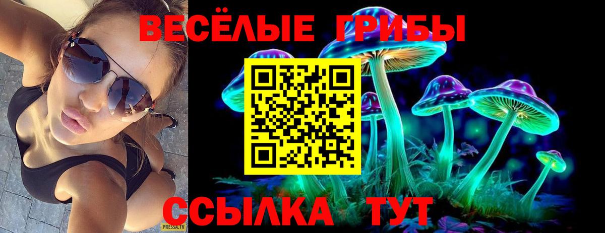 Строитель  Галлюциногенные грибы Psilocybine cubensis  Вход с VPN  купить закладку  Псилоцибиновые грибы MAGIC MUSHROOMS 